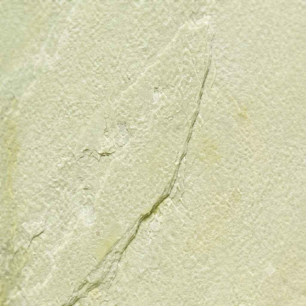 Gwalior Mint